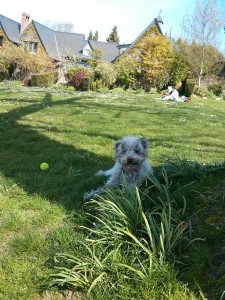 WritingInPark