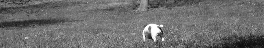Wei-Ting Leong's Blog header image 2