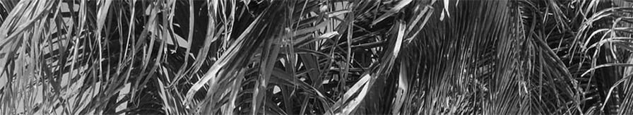 Wei-Ting Leong's Blog header image 3
