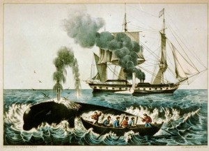 Cartoon depiction of the right whale fishery in the 18th century. Image source: US Library of Congress