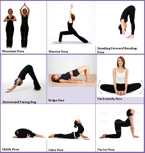 » Flexibility Training Wise Up Women's Wellness