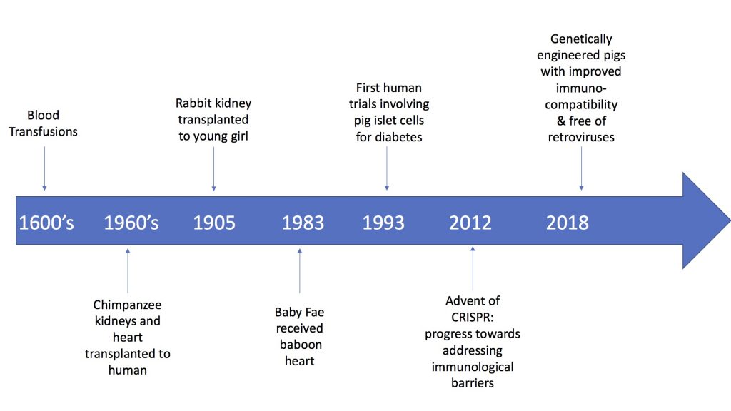 Xenotransplantation Background | Xenotransplantation & Ethical Perspectives