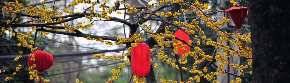 Xiangwen Zheng's Blog