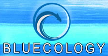 BluEcology