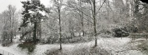 winter 12-02-16