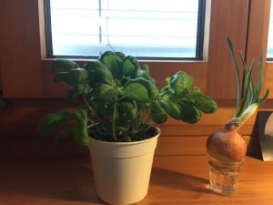 image1 (4)