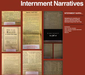 A screenshot of the Internment Narratives website.