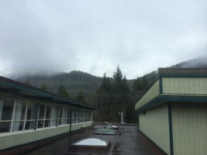The view from Rod's classroom